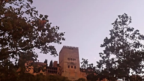Enchanting Alhambra and Granada: A Half-Day Journey into Highlights in Granada - 155b747fe1bc02e515c0c982d2803ded