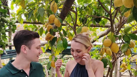  Limoncello Magic: A Culinary Experience in Amalfi Coast's Lemon Groves in Naples - 15805090556c0ca9689771acfa5dea77