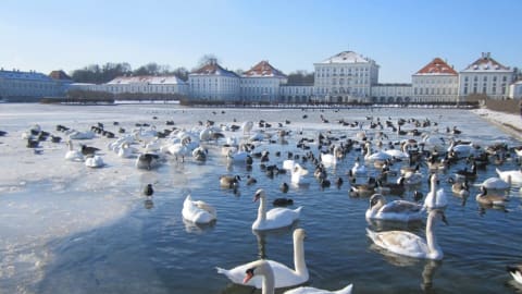 Private tour to Nymphenburg Palace in Munich - 18b818941aa6772452b477060a61b161