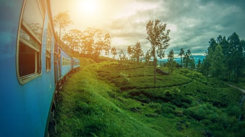 Hiking Experience - Two Magical Days in Ella in Kandy - 1a6ade42ded29dc76ff968718cad5083