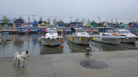 Busan's Coastal Gems: Bunecia, Nakdong River Walk, and Dadaepo Beach Sunset in Busan - 20b85765a11fc6cfc9e80858d9557455