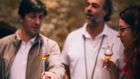 Divine Wine Tasting in Setubal - Private Day Trip in Lisbon - 20f2e3563885981362dbee066f08726b