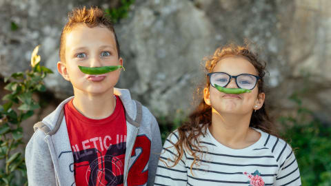 Family Fun: Cooking Class in Dubrovnik Countryside in Dubrovnik - 22bae4a54cb8817234c364c612451e4b