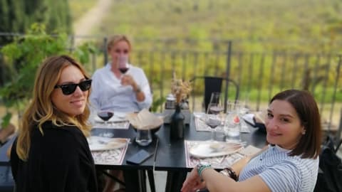 Wine day! A walk with two winery tastings in the Bologna hills in Bologna - 29fab1a3e1bee1a66ecc2d529d28fce2