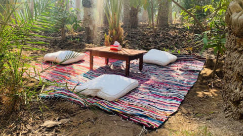 Explore Cairo's Rural Charms: Journey into the Countryside in Cairo - 2a896055262e44583d5d0d528881cd94