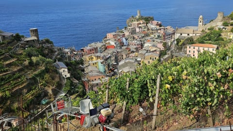 Visit to a Local Vineyard with Wine tasting in La Spezia - 2e319e041c67ceddbd03ae878acfa821