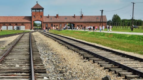 Auschwitz Day Trip in Krakow - 2facdc688a443ddaa2f4ec498502ece8