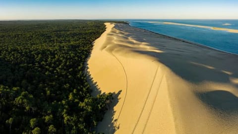 Bordeaux to Arcachon: VIP Day Trip with Dune du Pilat & Oyster Farm in Bordeaux - 3bf2b5d208d66fadd676a89ffcdcc06d