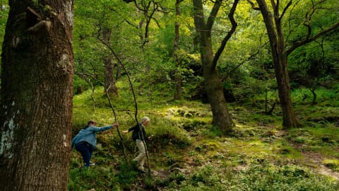 City Escape: Wicklow Mountains Day Trip in Dublin - 472914ee6b946b40294340a7d301b64c