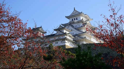 Cruise Shore Excursion: Himeji Castle & Kobe Delights in Kobe - 4a5f58c63fa17ba3e4674a3cf97f2a13