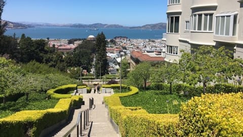 Presidio Park to Palace of Fine Arts & the Beach Tour in San Francisco - 4b808b520b0a0a92bde787d437c43688