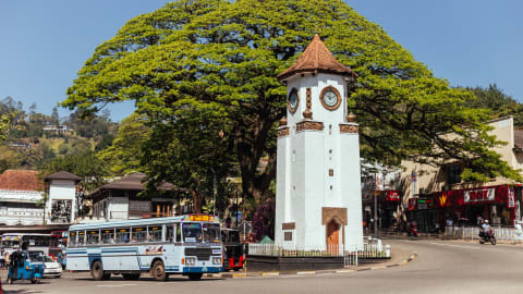 City Discovery: Kandy Day Trip in Colombo - 4c4d5e9878707eb59065453f11ee1771