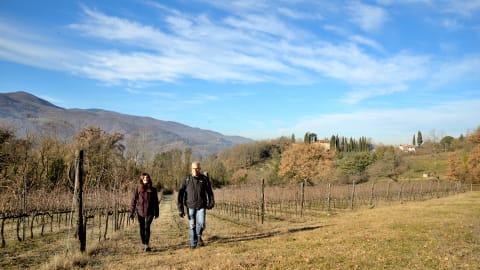 Nature fun! Tuscany Hike & Wine Private Tour with a Professional Guide and a Winemaker. in Florence - 4d82138ee412d70f4836e38299ed75df