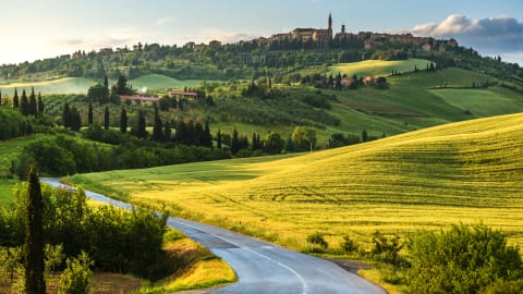 Exclusive 500 Views of Tuscany: VIP Day Trip Through Tuscany's Finest in Rome - 5255d1d4f7be87bb4ff5c823ea324c1b