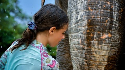 Elephant Sanctuary & Phuket Highlights: An Authentic Adventure in Phuket - 5279f2c30fcc7fbd278f166036098b56