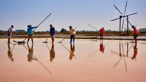 Fishing Village, Salt Farm & Seafood Day Trip in Bangkok - 54403d6eb4608b58a83251d07d04b8e0