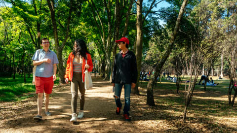 Off the Beaten Track in Mexico City: Coyoacan Tour in Mexico City - 5c49624c1b7cc20a35eb9767a6cdbe64