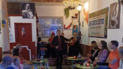 Flamenco & Tapas Night with a Local in Seville - 60c6845e921a13d5d338610f9bfb2892