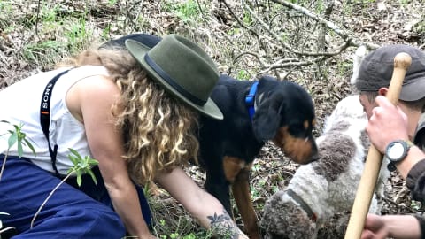 Truffle Hunt & Lunch in Italian Countryside in Rome - 66d14db2c1b287ef16d4a7414ad2857b