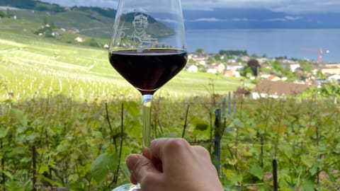 Vineyard Bliss: Discovering UNESCO-Listed Lavaux in Geneva - 67e4d6e1f0ce0675a74af4ee4110f879
