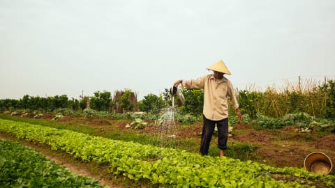 Farm tour & Cooking in Hanoi with local family in Hanoi - 6eb9db8b109b1b2baeef7bc5e6e9c5cd