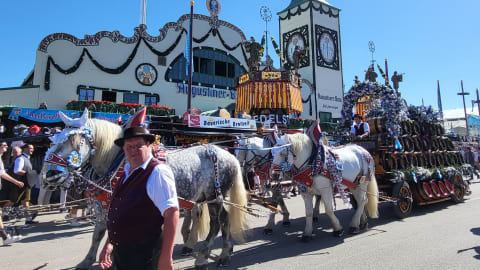Bavaria's Finest: Oktoberfest in Munich in Munich - 755c340469e89f71591ba9da17a25935