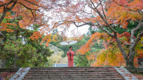 City Explorer: Nara Day Trip in Kyoto - 783167a3f943530df7aacf0992b3fc85