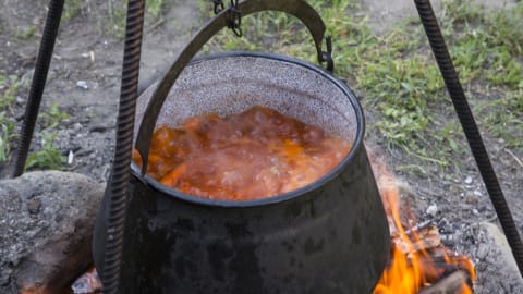 An Authentic Danubian Fisherman Cooking Class in Budapest - 8898071cfc07c42994badef60460e4d7