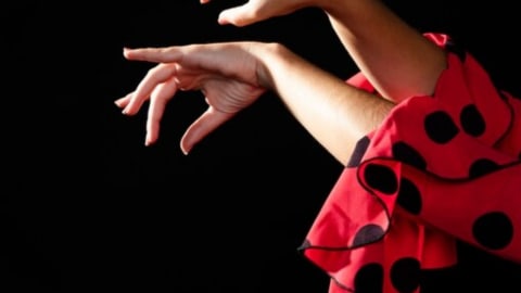 Sacromonte Flamenco Encounter: Live Show and Dinner within a Cave Setting in Granada - 892ae06aa9544d8e9789ca71afb7c3de