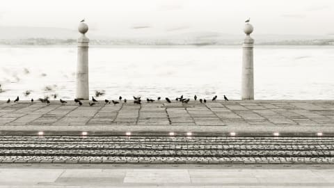 Personalized Photography Workshop in Lisbon  in Lisbon - 8b132b2b8dca74f79edbb0d802fa9e16
