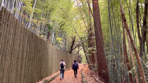 Discovering Tranquil Nature and Hidden Gems in Kanazawa - 8e2fe50ee7c6bcf2775c7c5e51b5657c