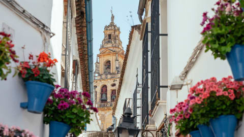 City Discovery: Carmona & Cordoba Day Trip in Seville - 910c466230e594fb68a34c951af2e5c6