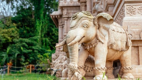 City Escape: Kuala Selangor Day Trip in Kuala Lumpur - 99b8ace86d5a61cdc64c9afac3b09668