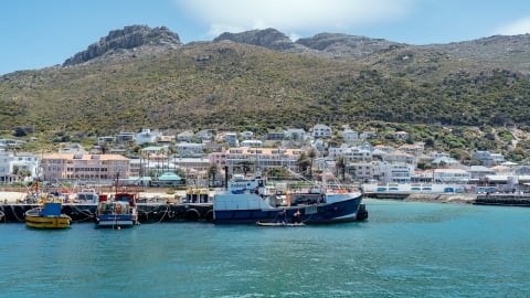City Escape: Cape Town Classics Day Trip in Cape Town - 9e42689cfc18b045d085fefc0af2696f