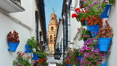 Highlights & Hidden Gems of Cordoba in Cordoba - Cordoba_HHG2_bt40de