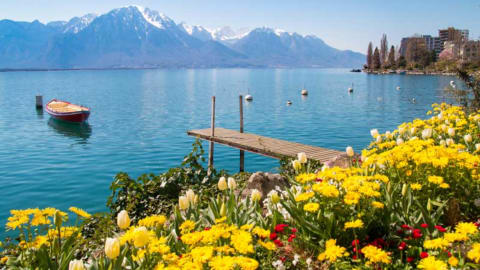 Discover Montreux, the Pearl of the Swiss Riviera in Geneva - a11bc359e3f6f8de30e498977b2666be