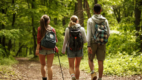 Nature's Beauty: Scenic Mönchsberg Walk in Salzburg in Salzburg - a5bfc50ed3bd6d16f8a5afeb00101dba
