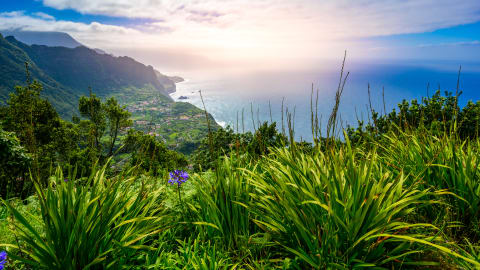 Madeira: North West Shore Day Trip by Car in Funchal - a5d6aac331d7cddf58f21272930290a4