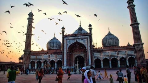 Delhi Delights: Exclusive Full-Day Private Tour in New Delhi - a5e334964ffc52d0c4aa4aa9bea67dc3