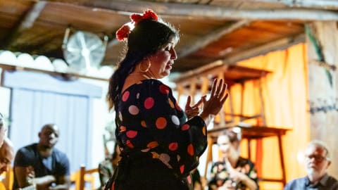 The Ultimate Flamenco Experience with a local Dancer  in Seville - ac93b5446de98a6bd4a6bad3a57dfdcf