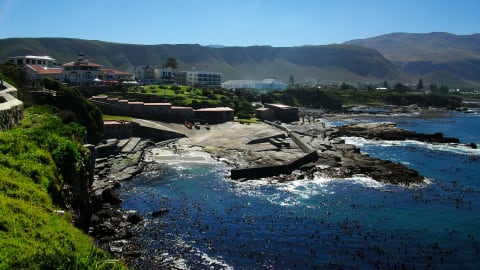 Cape Town's Whales & Wine day trip with Seafood Lunch in Cape Town - b07e5edd0ac7b658f350770c92c618f7