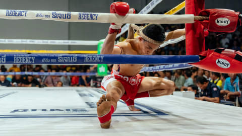 Muay Thai Fights Experience with a Local Expert in Bangkok - b35d73b4350a0aaa179a4325e6195e43