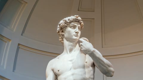 Michelangelo's David & Medici's Chapel in Florence - b67210be0b511c4f318f670292786550