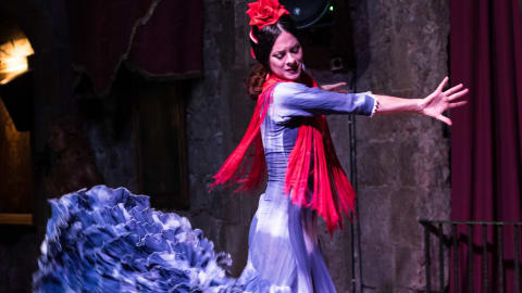Flamenco Show in Barcelona with Local Dancer in Barcelona - b6952ae24ad405de8bf075b652293895