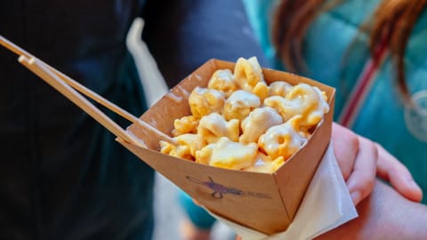 The 10 Tastings of Bologna in Bologna - b7f3a7f2c690af4527047b2377a37a75
