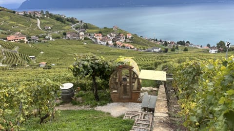 UNESCO World heritage vineyards in Lausanne - b885ecd5fb2ec2555456c58055de243f