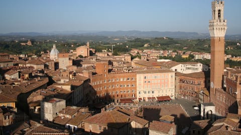 A Day Trip Back in Time in Siena with a Local in Florence - b94b3b3368a39a06c9527c1b315834eb