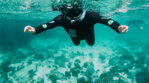 Cape Town From the Water: Snorkeling & Penguins in Cape Town - be6770d67f703029aec3eb7cac32362d