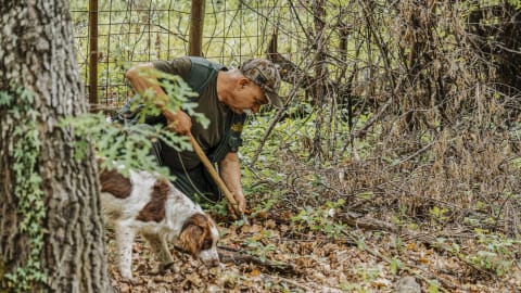 Truffle Hunting & Tuscan Cooking Experience on a Traditional Farm in Siena - c716c4dcbafed7fed7fc1809b4f4c0a7
