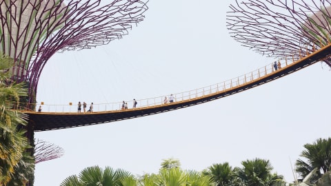 Treasures of Singapore: Gardens by the Bay Tour in Singapore - c7f8523807fccd0143e58140f190235c